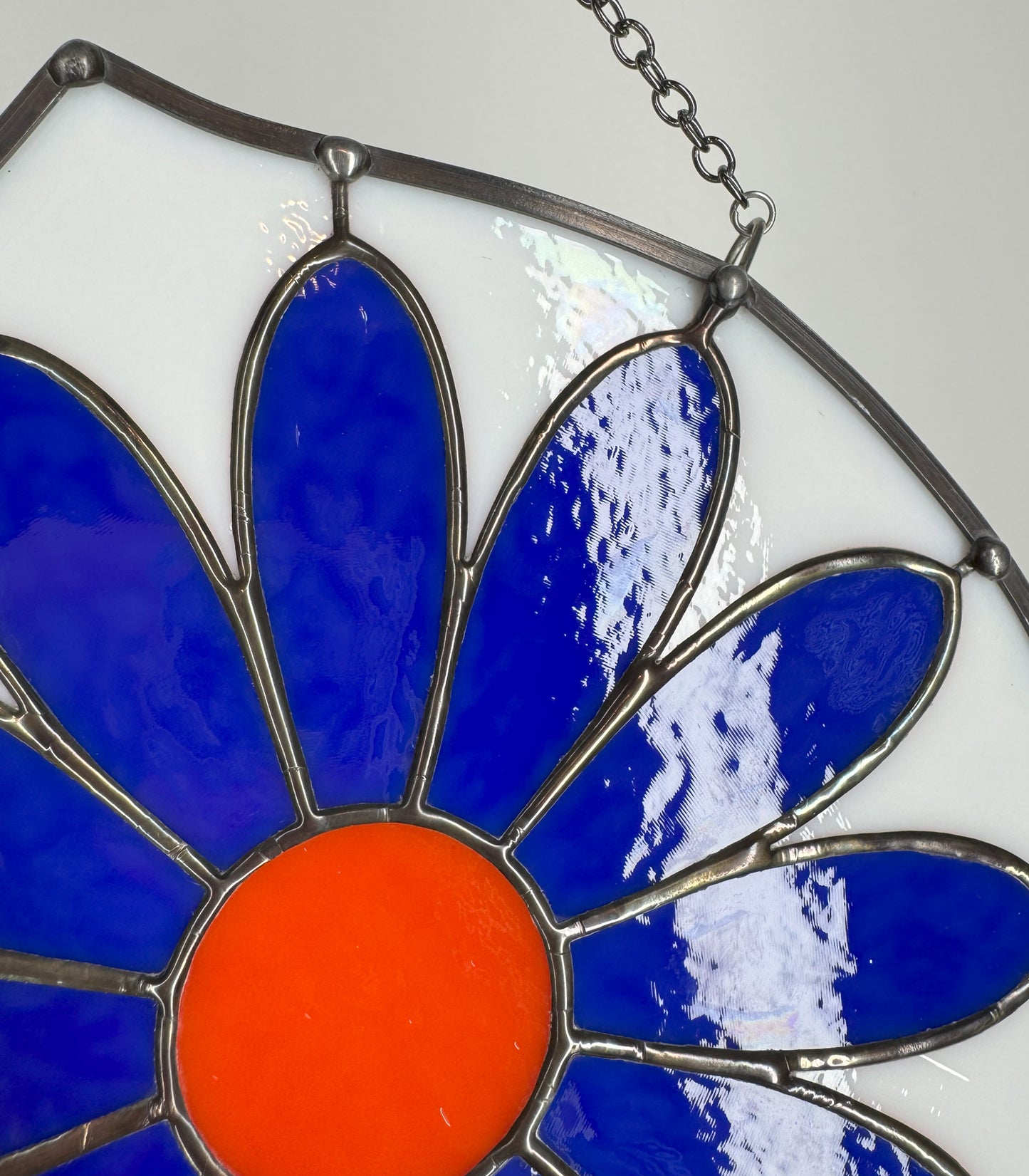 12 petaled daisy