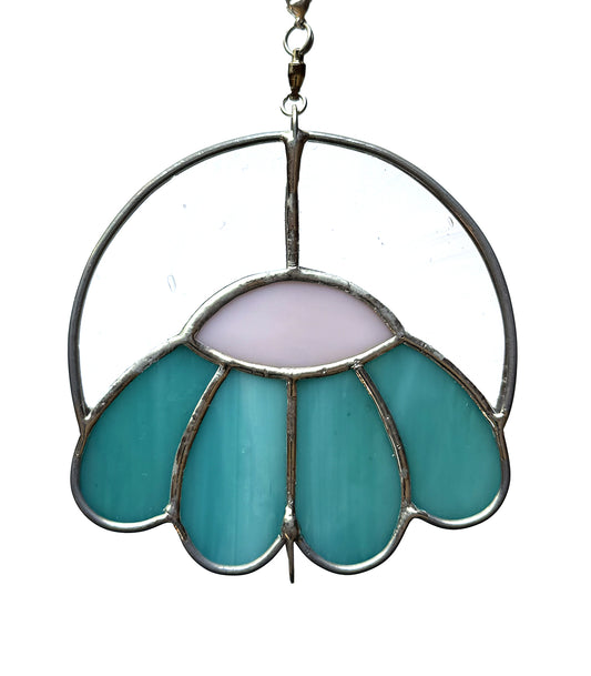 echinacea - abalone